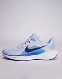Nik.e Zoom Pegasus 41 Sky Blue