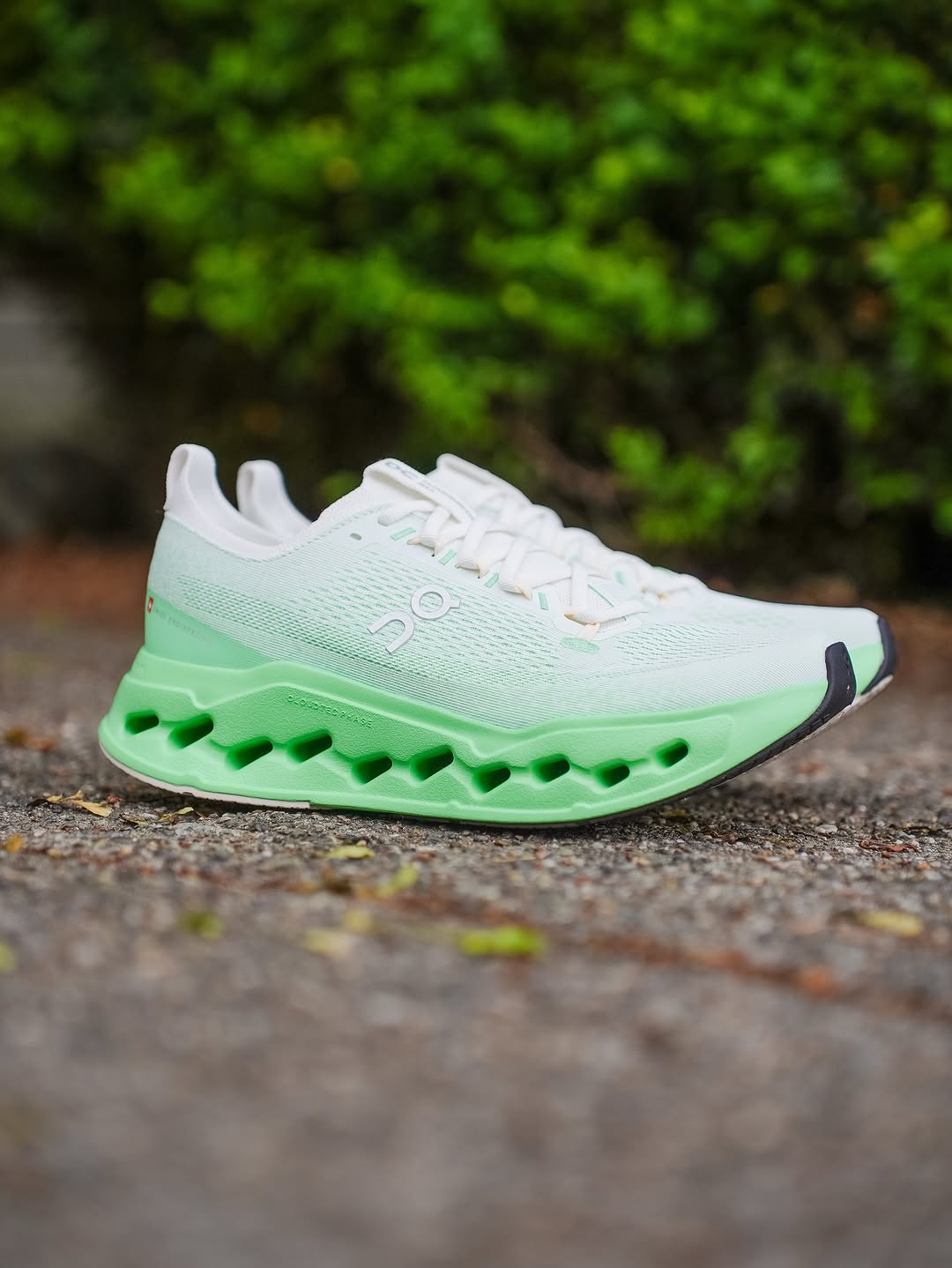 ON CLOUDSURFER MAX IVORY HONEYDEW